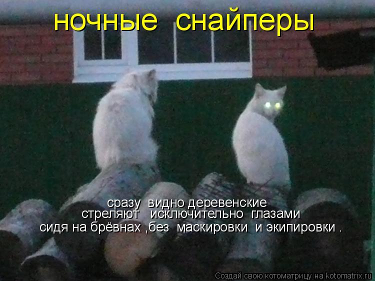 ночные снайперы сразу видно деревенские стреляют исключительно глазами сидя на брёвнах ,без ... Котоматрица: ночные снайперы сразу видно деревенские стреляют исключительно глазами сидя на брёвнах ,без маскировки и экипировки .
