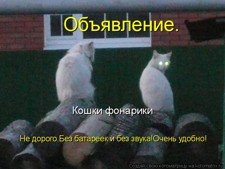 Кошки фонарики Объявление. Не дорого.Без батареек и без звука!Очень удобно!... Котоматрица: Кошки фонарики Объявление. Не дорого.Без батареек и без звука!Очень удобно!