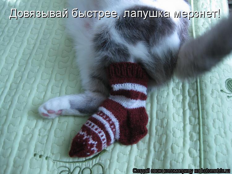 Довязывай быстрее, лапушка мерзнет!... Котоматрица: Довязывай быстрее, лапушка мерзнет!
