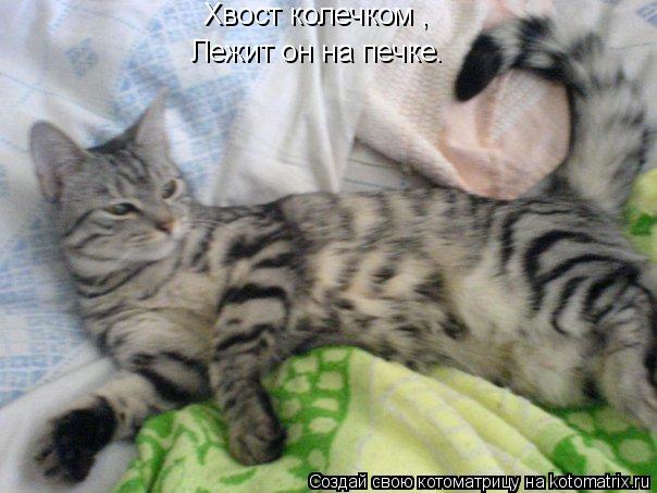 Хвост колечком , Лежит он на печке.... Котоматрица: Хвост колечком , Лежит он на печке.