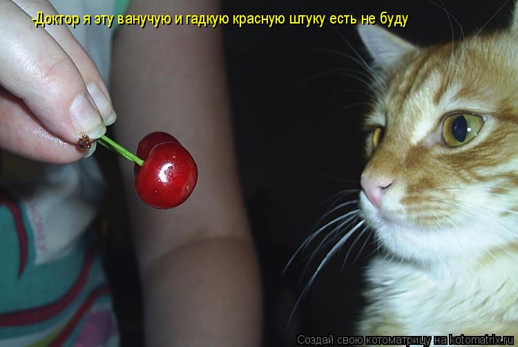 -Доктор я эту ванучую и гадкую красную штуку есть не буду... Котоматрица: -Доктор я эту ванучую и гадкую красную штуку есть не буду