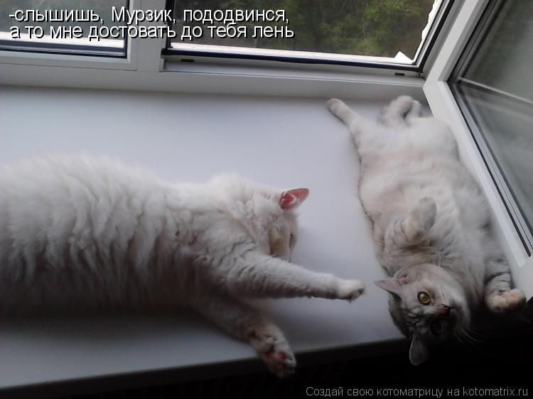 -слышишь, Мурзик, пододвинся, а то мне достовать до тебя лень... Котоматрица: -слышишь, Мурзик, пододвинся, а то мне достовать до тебя лень