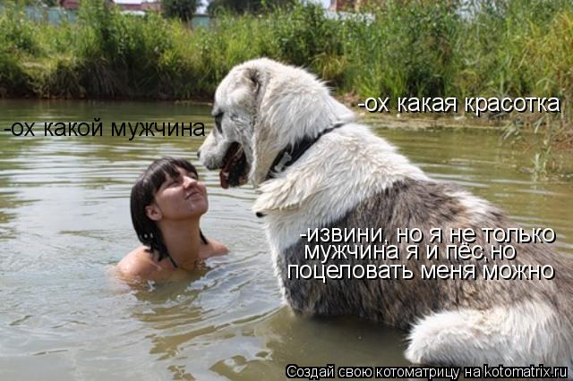 -ох какая красотка -ох какой мужчина -извини, но я не только мужчина я и пёс,но поцеловать меня можно... Котоматрица: -ох какая красотка -ох какой мужчина -извини, но я не только мужчина я и пёс,но поцеловать меня можно