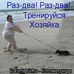 Раз-два! Раз-два! Тренируйся Хозяйка.... Котоматрица: Раз-два! Раз-два! Тренируйся Хозяйка.
