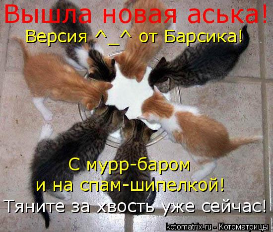 Вышла новая аська! Версия ^_^ от Барсика! С мурр-баром и на спам-шипелкой! Тяните за хвость уже сейча... Котоматрица: Вышла новая аська! Версия ^_^ от Барсика! С мурр-баром и на спам-шипелкой! Тяните за хвость уже сейчас!