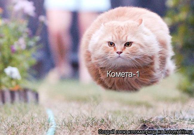 Комета-1... Котоматрица: Комета-1