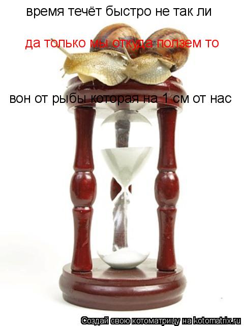 время течёт быстро не так ли да только мы откуда ползем то вон от рыбы которая на 1 см от нас... Котоматрица: время течёт быстро не так ли да только мы откуда ползем то вон от рыбы которая на 1 см от нас