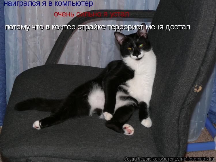наигрался я в компьютер очень сильно я устал потому что в контер страйке террорист меня достал... Котоматрица: наигрался я в компьютер очень сильно я устал потому что в контер страйке террорист меня достал