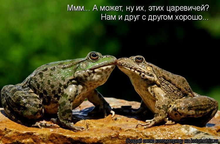 Ммм... А может, ну их, этих царевичей? Нам и друг с другом хорошо...... Котоматрица: Ммм... А может, ну их, этих царевичей? Нам и друг с другом хорошо...