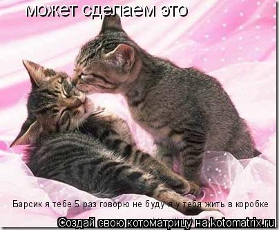 может сделаем это Барсик я тебе 5 раз говорю не буду я у тебя жить в коробке... Котоматрица: может сделаем это Барсик я тебе 5 раз говорю не буду я у тебя жить в коробке
