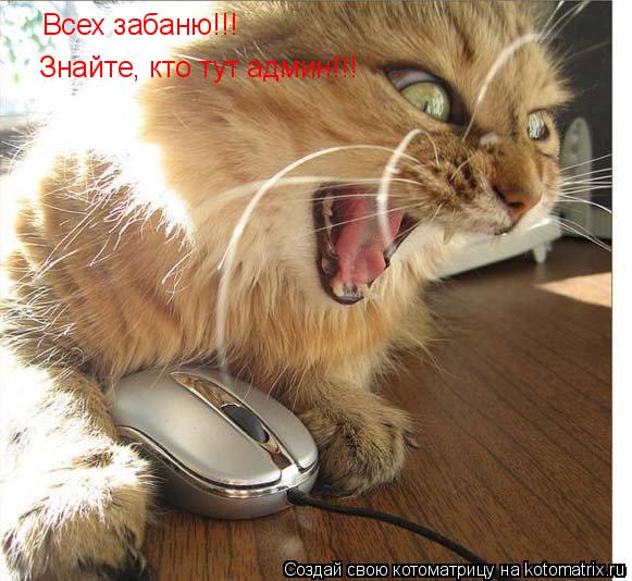 Всех забаню!!! Знайте, кто тут админ!!!... Котоматрица: Всех забаню!!! Знайте, кто тут админ!!!