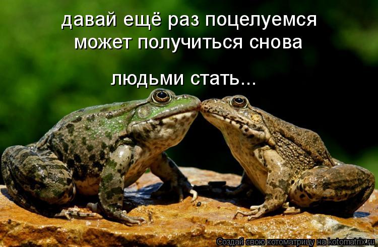 давай ещё раз поцелуемся может получиться снова людьми стать...... Котоматрица: давай ещё раз поцелуемся может получиться снова людьми стать...