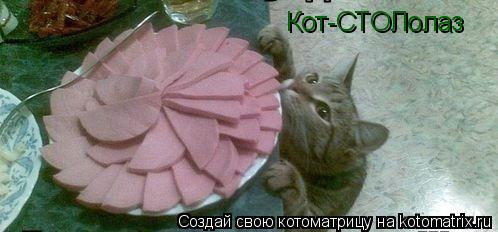 Кот-СТОЛолаз... Котоматрица: Кот-СТОЛолаз
