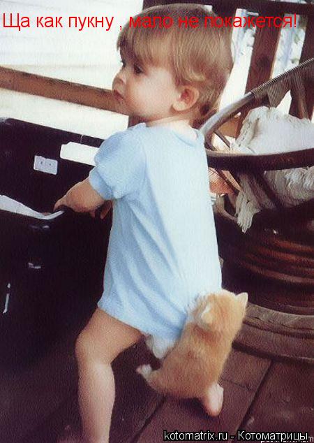 Ща как пукну , мало не покажется!... Котоматрица: Ща как пукну , мало не покажется!