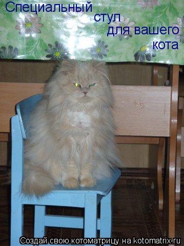Специальный стул для вашего кота... Котоматрица: Специальный стул для вашего кота