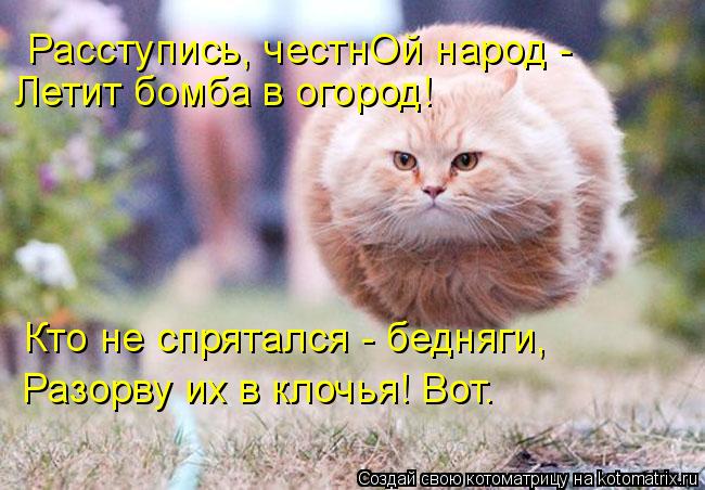 Расступись, честнОй народ - Летит бомба в огород! Кто не спрятался - бедняги, Разорву их в клочья! Во... Котоматрица: Расступись, честнОй народ - Летит бомба в огород! Кто не спрятался - бедняги, Разорву их в клочья! Вот.