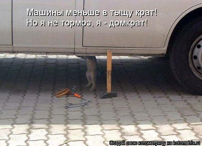 Но я не тормоз, я - домкрат! Машины меньше в тыщу крат!... Котоматрица: Но я не тормоз, я - домкрат! Машины меньше в тыщу крат!