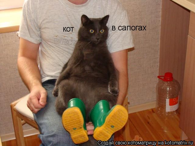 кот в сапогах... Котоматрица: кот в сапогах