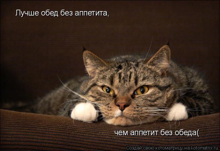 Лучше обед без аппетита, чем аппетит без обеда(... Котоматрица: Лучше обед без аппетита, чем аппетит без обеда(