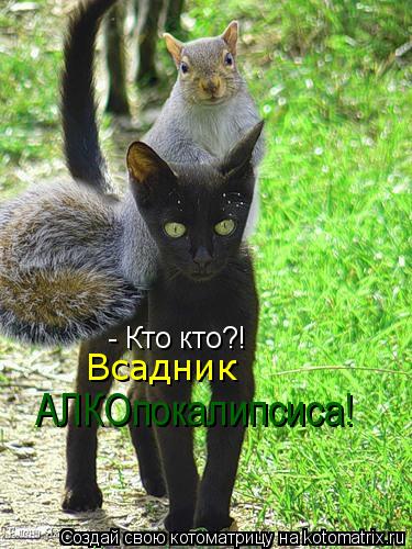 - Кто кто?! Всадник АЛКОпокалипсиса!... Котоматрица: - Кто кто?! Всадник АЛКОпокалипсиса!