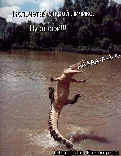 Гюльчетай открой личико. Ну открой!!! ААААА-А-А-А-А... Котоматрица: Гюльчетай открой личико. Ну открой!!! ААААА-А-А-А-А