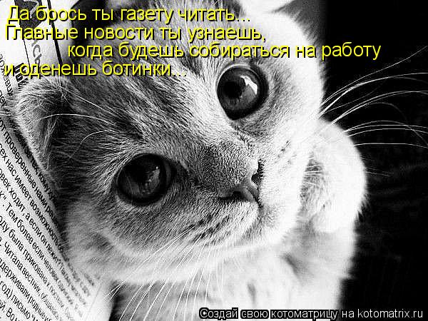 Да брось ты газету читать... Главные новости ты узнаешь, когда будешь собираться на работу и оденешь... Котоматрица: Да брось ты газету читать... Главные новости ты узнаешь, когда будешь собираться на работу и оденешь ботинки...