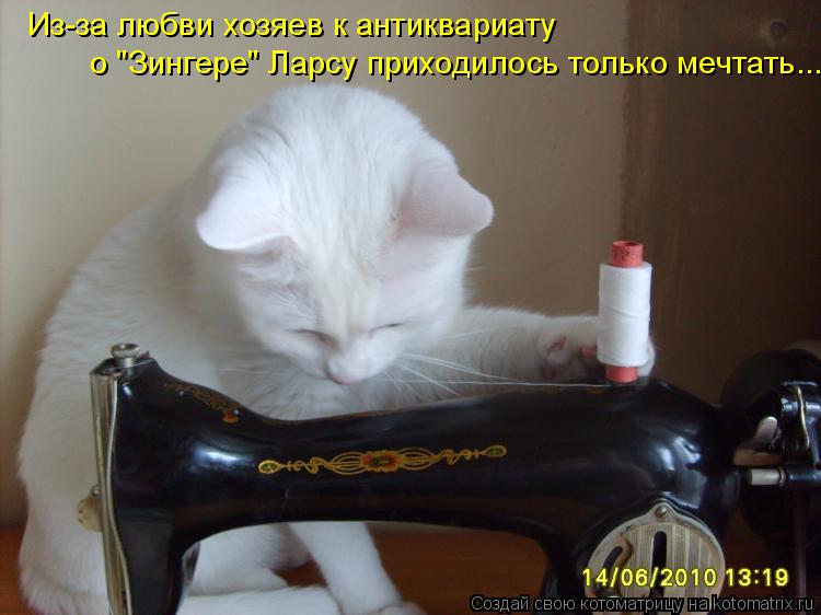 Из-за любви хозяев к антиквариату о "Зингере" Ларсу приходилось только мечтать...... Котоматрица: Из-за любви хозяев к антиквариату о "Зингере" Ларсу приходилось только мечтать...