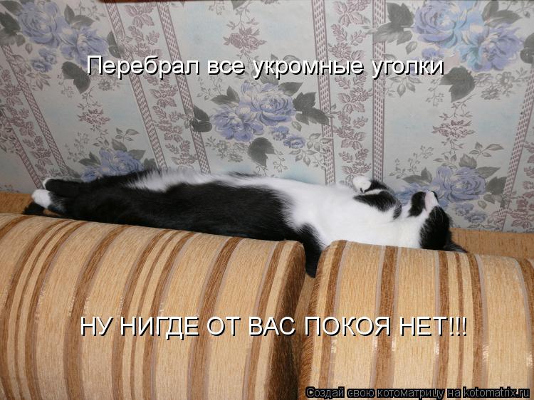 Перебрал все укромные уголки НУ НИГДЕ ОТ ВАС ПОКОЯ НЕТ!!!... Котоматрица: Перебрал все укромные уголки НУ НИГДЕ ОТ ВАС ПОКОЯ НЕТ!!!