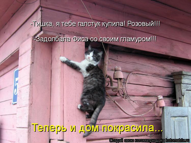Котоматрица: -Задолбала Фиса со своим гламуром!!! -Тишка, я тебе галстук купила! Розовый!!! Теперь и дом покрасила...