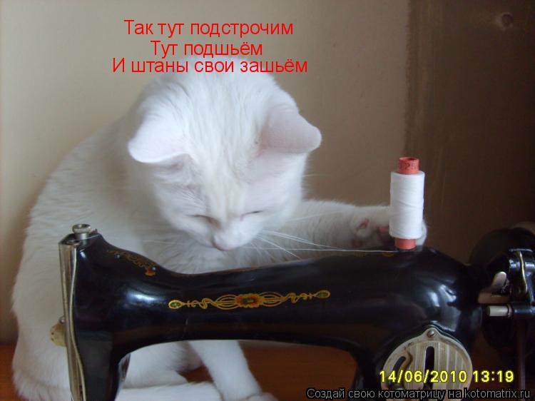Котоматрица: Так тут подстрочим Тут подшьём И штаны свои зашьём