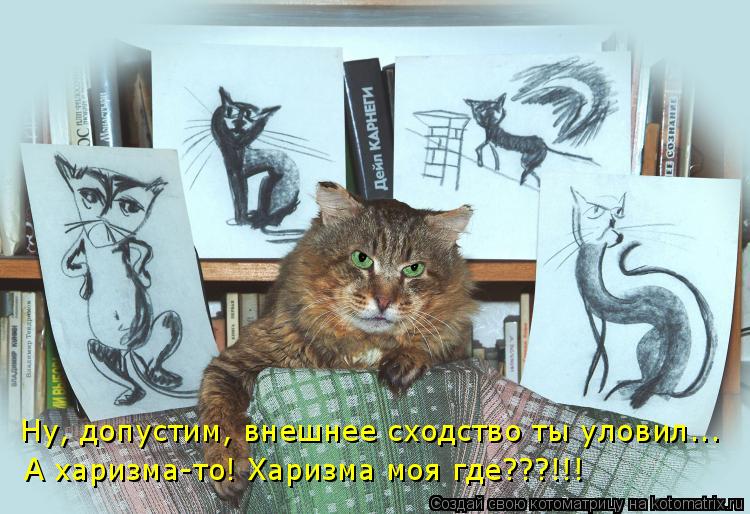 Ну, допустим, внешнее сходство ты уловил... А харизма-то! Харизма моя где???!!!... Котоматрица: Ну, допустим, внешнее сходство ты уловил... А харизма-то! Харизма моя где???!!!