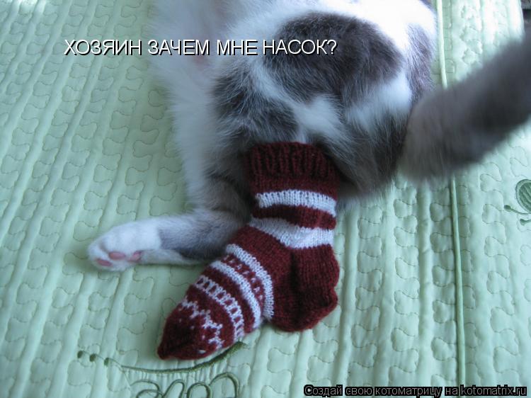 Котоматрица: ХОЗЯИН ЗАЧЕМ МНЕ НАСОК?