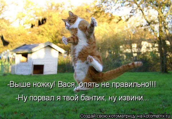 Котоматрица: -Выше ножку! Вася, опять не правильно!!! -Ну порвал я твой бантик, ну извини...