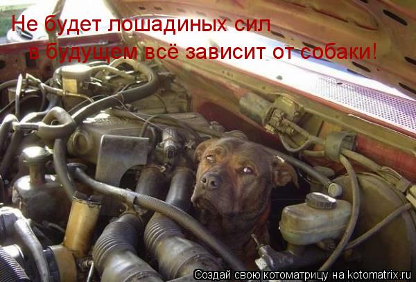 Котоматрица: Не будет лошадиных сил  в будущем всё зависит от собаки!