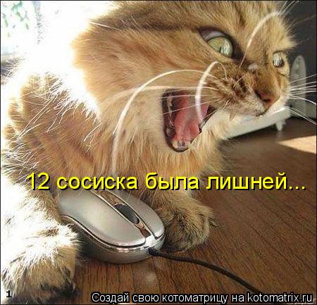 Котоматрица: 12 сосиска была лишней...