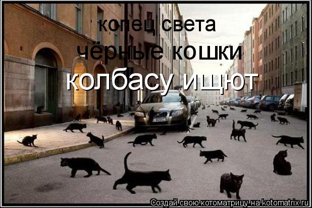 Котоматрица: копец света чёрные кошки колбасу ищют