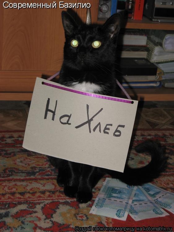 Современный Базилио... Котоматрица: Современный Базилио