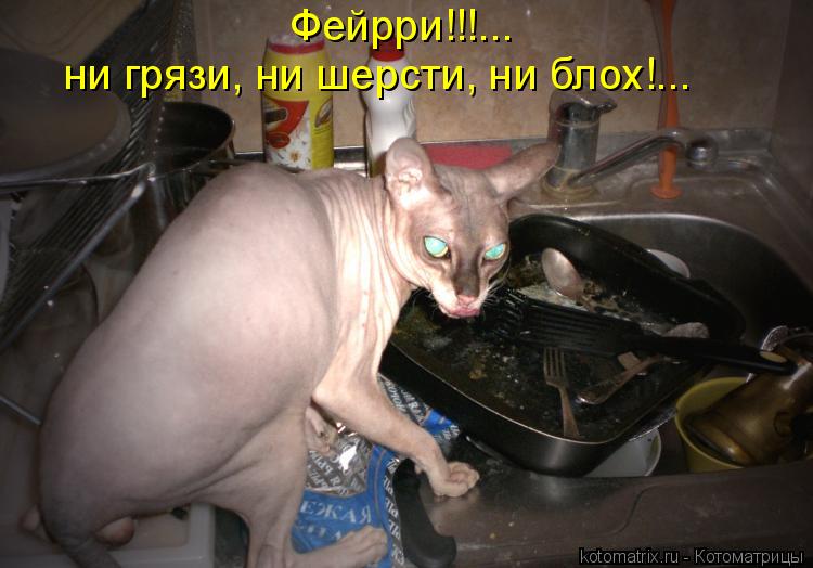 Фейрри!!!... ни грязи, ни шерсти, ни блох!...... Котоматрица: Фейрри!!!... ни грязи, ни шерсти, ни блох!...