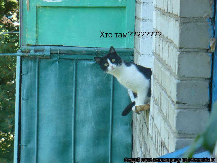 Хто там????????... Котоматрица: Хто там????????