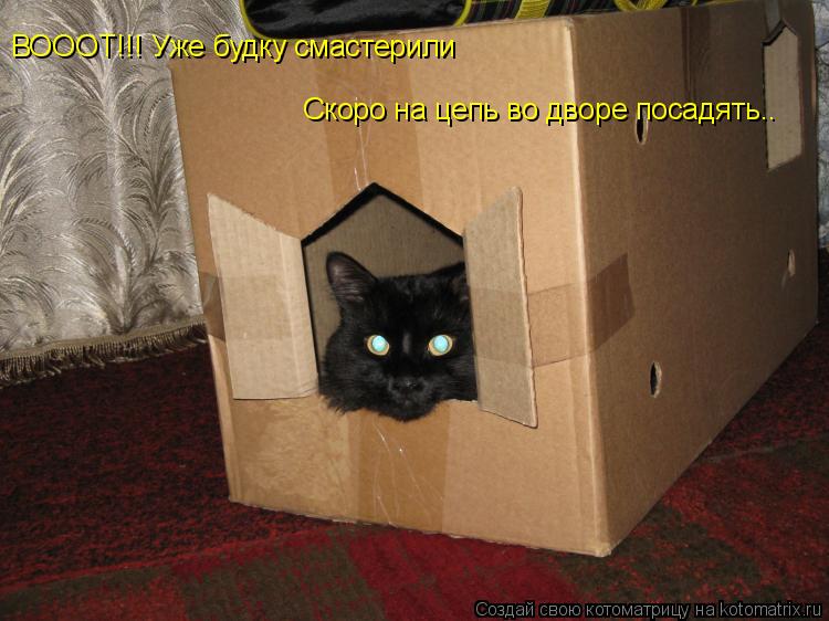ВОООТ!!! Уже будку смастерили Скоро на цепь во дворе посадять..... Котоматрица: ВОООТ!!! Уже будку смастерили Скоро на цепь во дворе посадять..