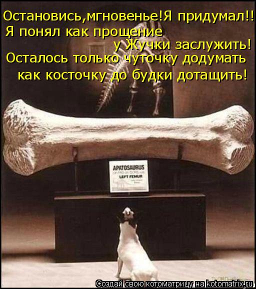 Остановись,мгновенье!Я придумал!!! Я понял как прощение у Жучки заслужить! Осталось только чуточку д... Котоматрица: Остановись,мгновенье!Я придумал!!! Я понял как прощение у Жучки заслужить! Осталось только чуточку додумать как косточку до будки дотащить!