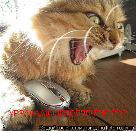 УРРАААА!!!!!!ГОЛЛЛЛ!ГОЛ!ГОЛ... Котоматрица: УРРАААА!!!!!!ГОЛЛЛЛ!ГОЛ!ГОЛ