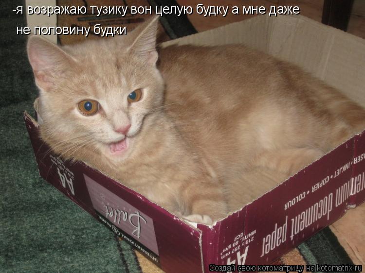 -я возражаю тузику вон целую будку а мне даже не половину будки... Котоматрица: -я возражаю тузику вон целую будку а мне даже не половину будки