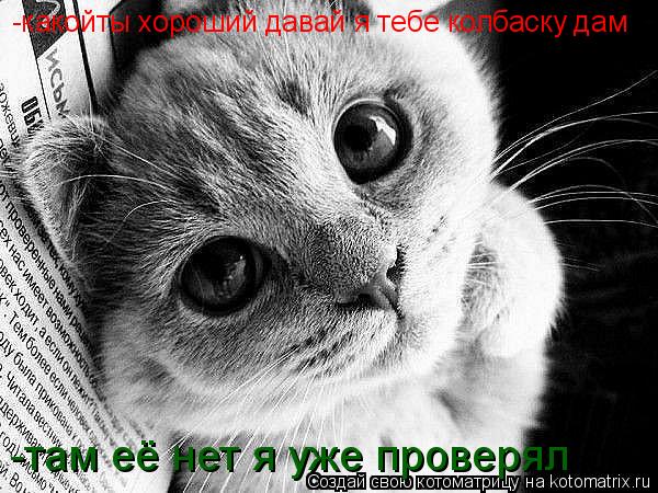 -какойты хороший давай я тебе колбаску дам -там её нет я уже проверял... Котоматрица: -какойты хороший давай я тебе колбаску дам -там её нет я уже проверял