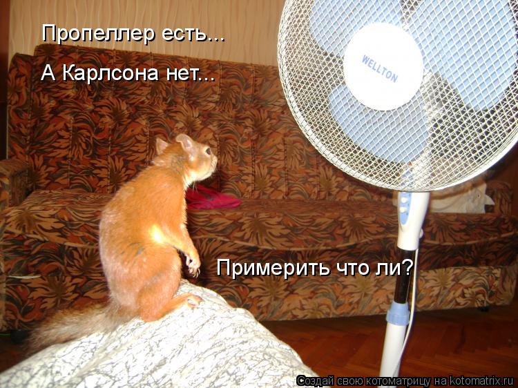 Пропеллер есть... А Карлсона нет... Примерить что ли?... Котоматрица: Пропеллер есть... А Карлсона нет... Примерить что ли?