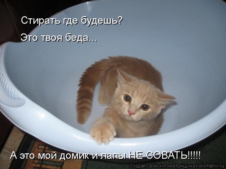 Стирать где будешь? Это твоя беда... А это мой домик и лапы НЕ СОВАТЬ!!!!!... Котоматрица: Стирать где будешь? Это твоя беда... А это мой домик и лапы НЕ СОВАТЬ!!!!!