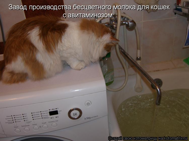 Завод производства бесцветного молока для кошек с авитаминозом.... Котоматрица: Завод производства бесцветного молока для кошек с авитаминозом.