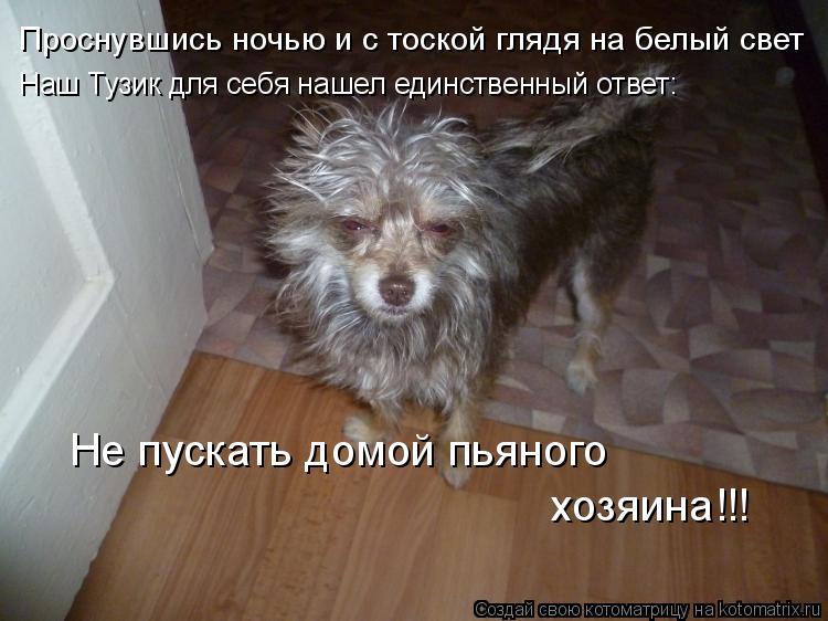 Проснувшись ночью и с тоской глядя на белый свет Наш Тузик для себя нашел единственный ответ: Не пуск... Котоматрица: Проснувшись ночью и с тоской глядя на белый свет Наш Тузик для себя нашел единственный ответ: Не пускать домой пьяного хозяина!!!