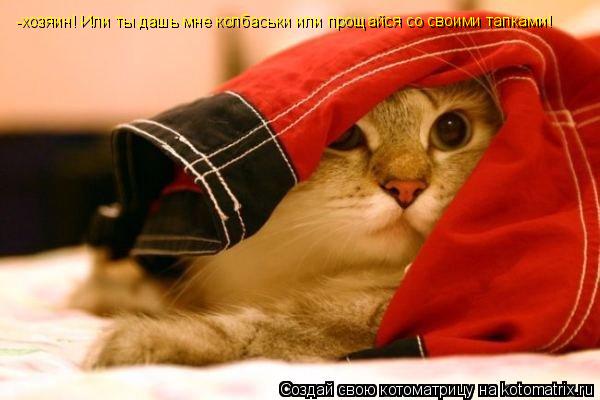 -хозяин! Или ты дашь мне колбаськи или прощайся со своими тапками!... Котоматрица: -хозяин! Или ты дашь мне колбаськи или прощайся со своими тапками!