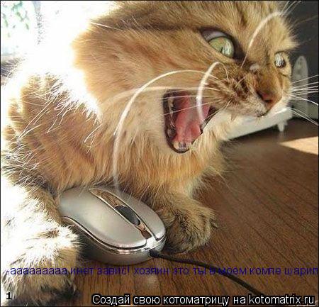 -ааааааааа инет завис! хозяин это ты в моём компе шарил?... Котоматрица: -ааааааааа инет завис! хозяин это ты в моём компе шарил?